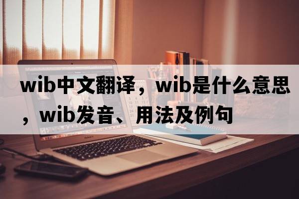 Wib中文翻譯，Wib是什么意思，Wib發(fā)音、用法及例句