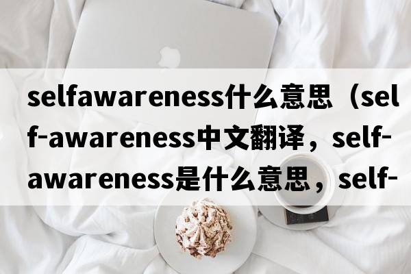 selfawareness什么意思（self-awareness中文翻譯，self-awareness是什么意思，self-awareness發(fā)音、用法及例句）