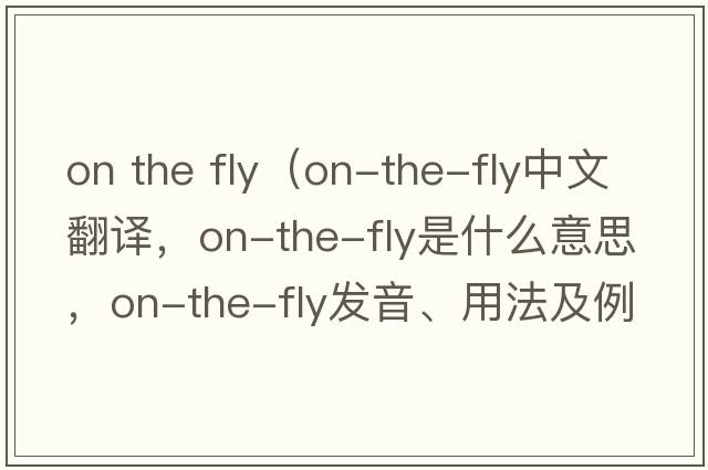 on the fly（on-the-fly中文翻譯，on-the-fly是什么意思，on-the-fly發(fā)音、用法及例句）