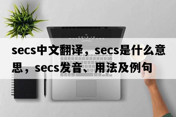 secs中文翻譯，secs是什么意思，secs發(fā)音、用法及例句