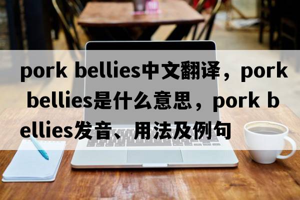 pork bellies中文翻譯，pork bellies是什么意思，pork bellies發(fā)音、用法及例句