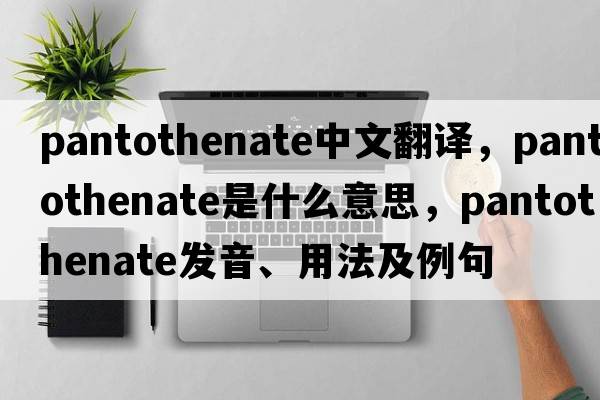 pantothenate中文翻譯，pantothenate是什么意思，pantothenate發(fā)音、用法及例句