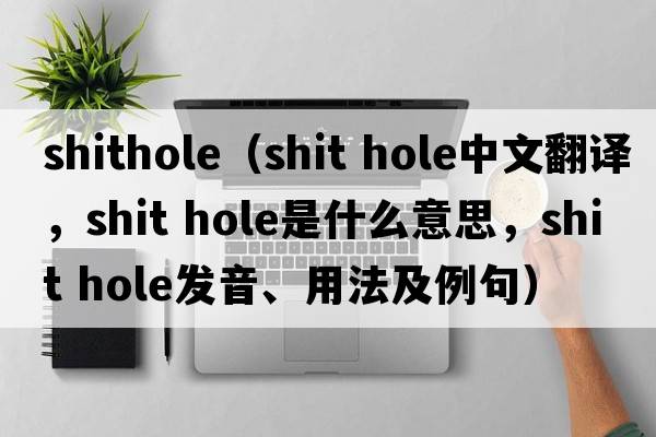 shithole（shit hole中文翻譯，shit hole是什么意思，shit hole發(fā)音、用法及例句）