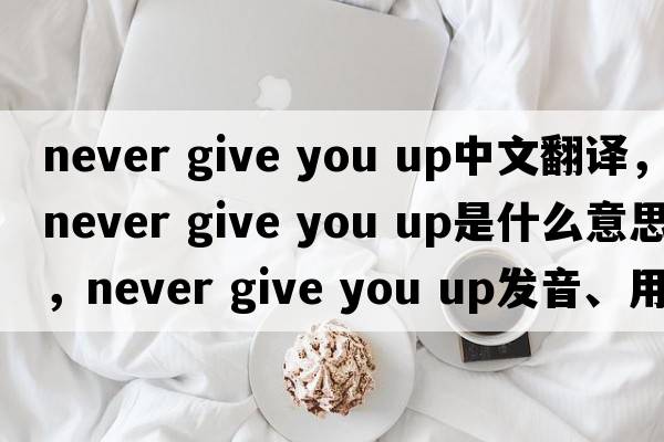 never give you up中文翻譯，never give you up是什么意思，never give you up發(fā)音、用法及例句