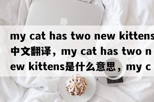my cat has two new kittens中文翻譯，my cat has two new kittens是什么意思，my cat has two new kittens發(fā)音、用法及例句